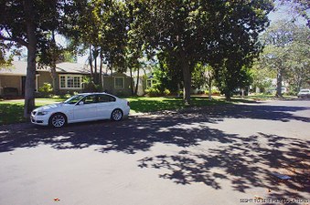 Enlarge photo 80