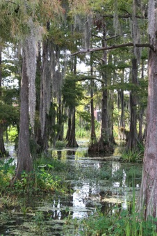 Enlarge photo 38