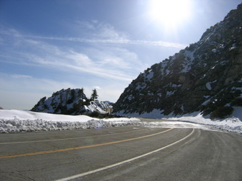 Enlarge photo 40
