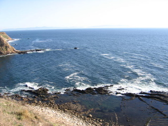 Enlarge photo 35