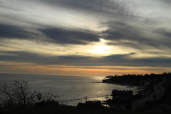 Enlarge photo 54
