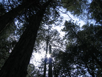 Enlarge photo 36
