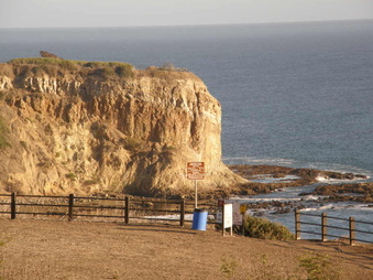 Enlarge photo 47