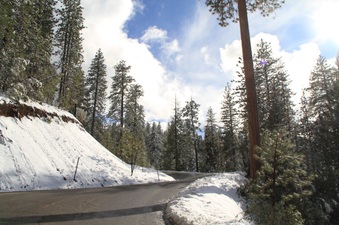 Enlarge photo 10