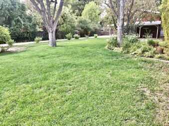 Enlarge photo 10