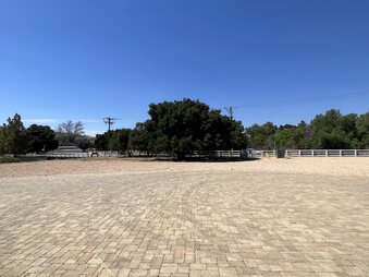 Enlarge photo 110