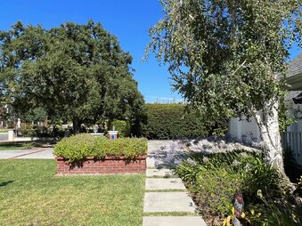 Enlarge photo 28