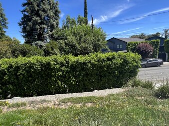 Enlarge photo 19