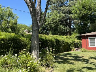 Enlarge photo 37