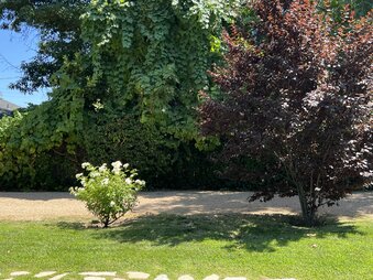 Enlarge photo 38