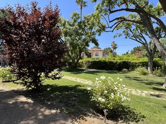 Enlarge photo 57
