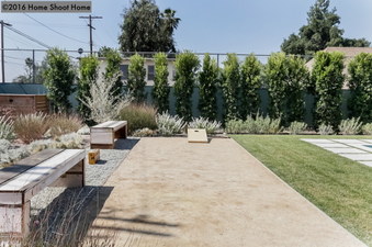 Enlarge photo 67