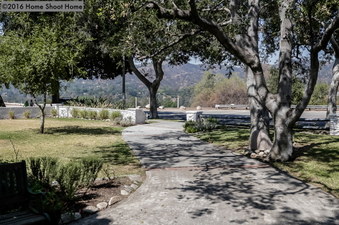 Enlarge photo 74