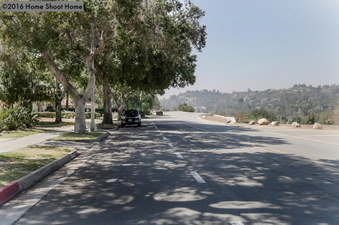 Enlarge photo 81