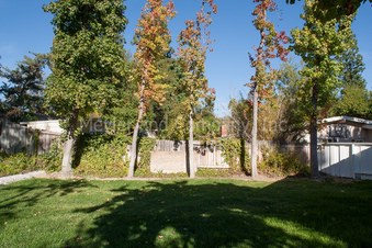Enlarge photo 50