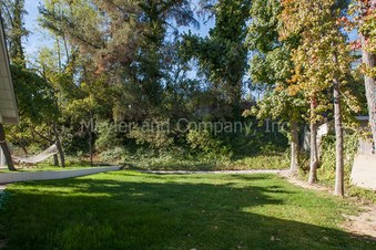 Enlarge photo 51