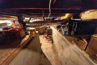 Enlarge photo 59