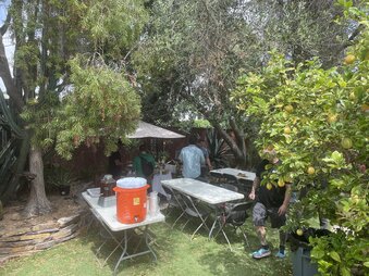 Enlarge photo 5