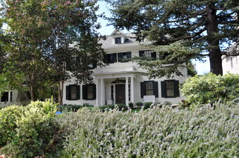 Enlarge photo 8