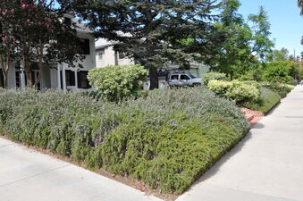 Enlarge photo 12