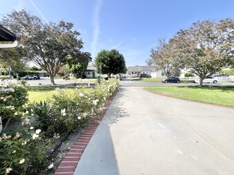 Enlarge photo 45