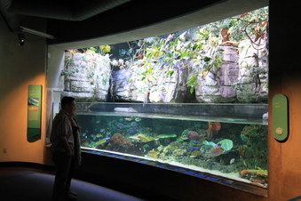 Enlarge photo 83
