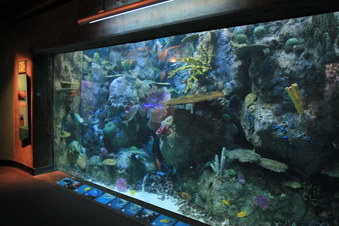 Enlarge photo 82