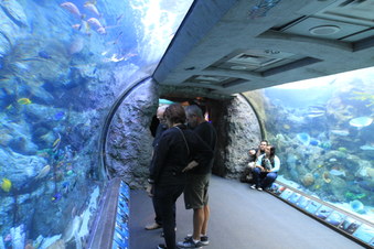 Enlarge photo 57