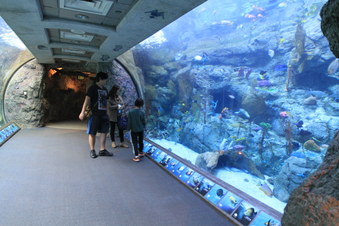 Enlarge photo 41