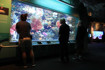 Enlarge photo 40