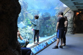 Enlarge photo 37