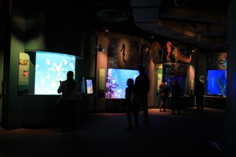 Enlarge photo 35