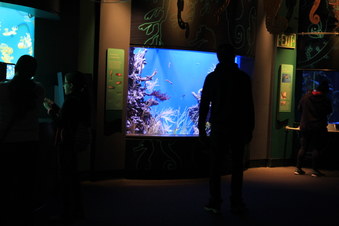 Enlarge photo 34