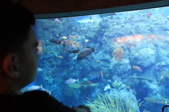 Enlarge photo 26