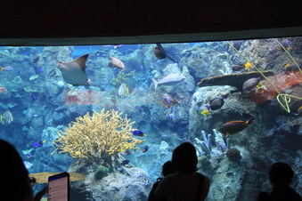 Enlarge photo 25