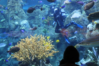 Enlarge photo 19