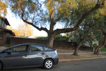 Enlarge photo 7