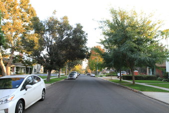 Enlarge photo 10