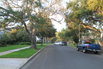 Enlarge photo 12