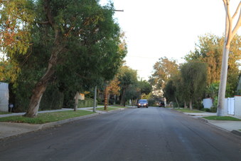 Enlarge photo 20