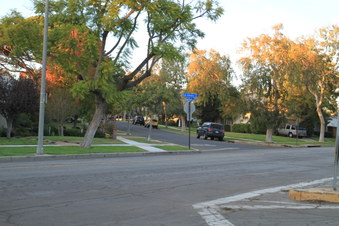 Enlarge photo 31