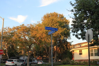Enlarge photo 32