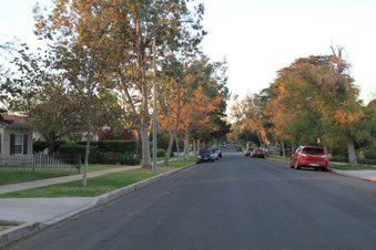 Enlarge photo 37