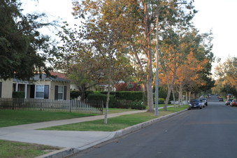 Enlarge photo 38