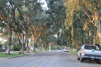 Enlarge photo 39