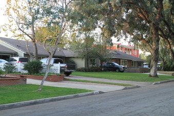 Enlarge photo 40