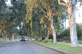 Enlarge photo 41