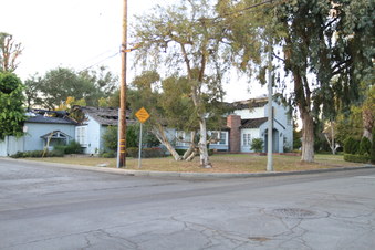 Enlarge photo 45