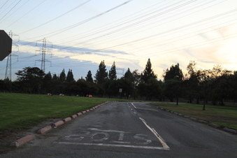 Enlarge photo 16