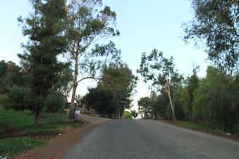 Enlarge photo 11